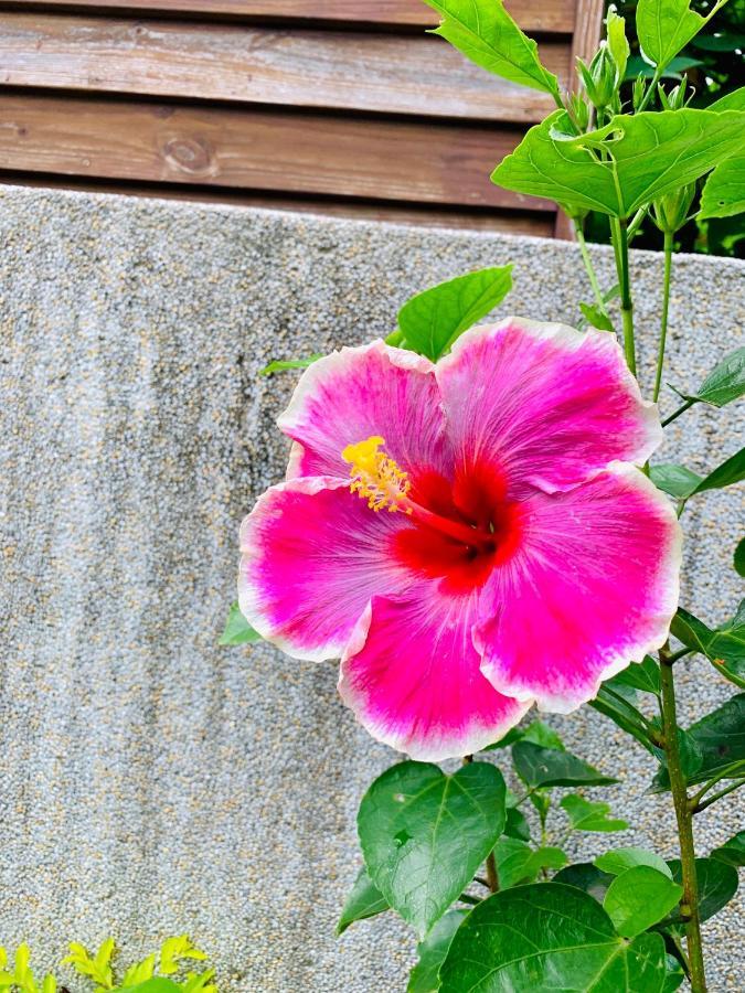 Jifun Flower Meanings Ji'an Exteriör bild
