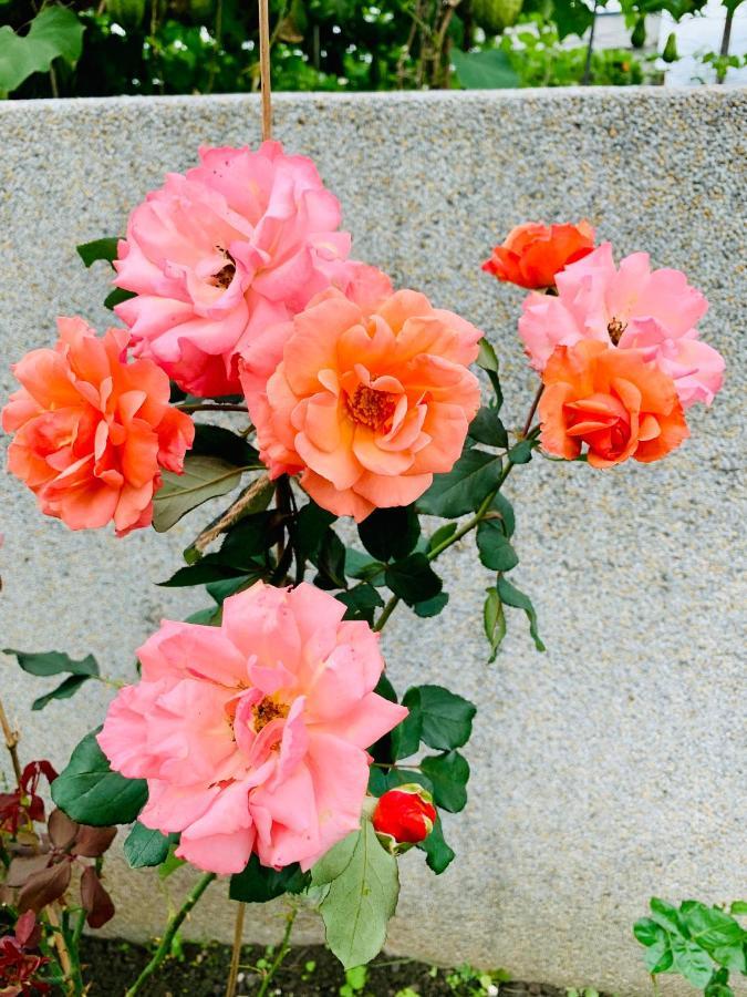 Jifun Flower Meanings Ji'an Exteriör bild